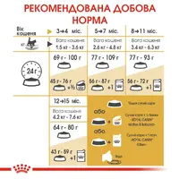 Royal Canin Maine coon Kitten сухий корм для кошенят 400 г (3182550770941)  - фото 3