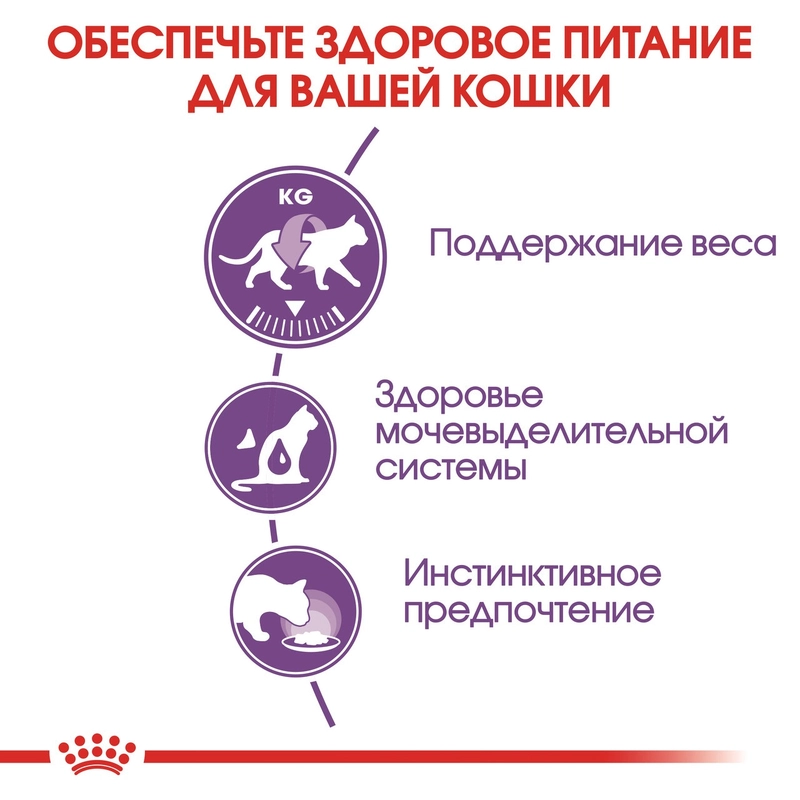Royal Canin Sterilised Jelly влажный корм для стерилизованных кошек 85 г (9003579311776)  - фото 1