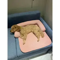 Dogs Bomba лежак для котів та собак 45х60 см - на диван, рожевий (2000981280413)  - фото 3