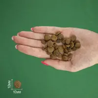 BRAVERY GF Chicken Adult Sterilized СУХИЙ КОРМ Холістік коти (з куркою) 600 г  - фото 1