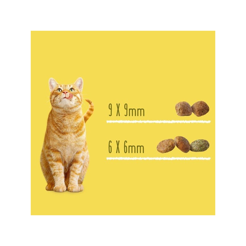 Friskies сухий корм для котів 300 г - з куркою та овочами (7613031868247)  - фото 1
