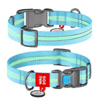 WAUDOG Nylon нашийник світонакоплювальний для собак S - з QR паспортом, нейлоновий, блакитний (4823089312149) 