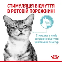 Royal Canin Sensory Feel in Jelly влажный корм для кошек 85 г (9003579018996)  - фото 1