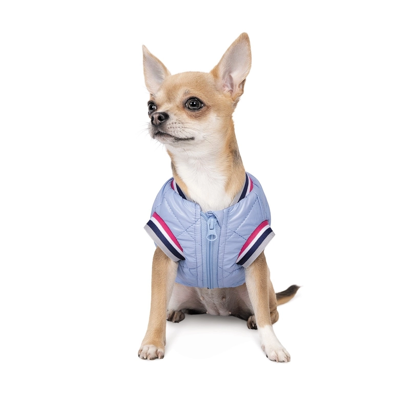 Pet Fashion Spike бомбер для собак XS-2 - блакитний (4823082430215)  - фото 3