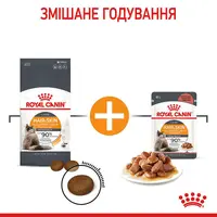 Royal Canin Hair&Skin Care сухий корм для котів для здоров'я шкіри та шерсті 400 г (3182550721721)  - фото 4