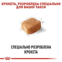 Royal Canin Dachshund Adult сухой корм для собак 1.5 кг (3182550717335)  - фото 2