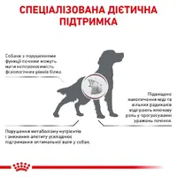 Royal Canin VETERINARY HEPATIC сухий ветеринарний корм-дієта для собак при захворюваннях печінки 1.5 кг(3182550771719)  - фото 2