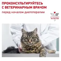 Royal Canin Renal Special СУХИЙ КОРМ Холістік коти (при захворюваннях нирок) 400 г  - фото 6