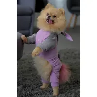 Dogs Bomba костюм для собак 7 - з мікрофлісу, лавандовий (2000000049953)  - фото 2
