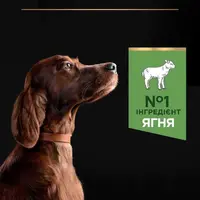 Purina Pro Plan Large Athletic ADULT СУХИЙ КОРМ Супер-преміум собаки великих порід (з ягням) 14 кг  - фото 4