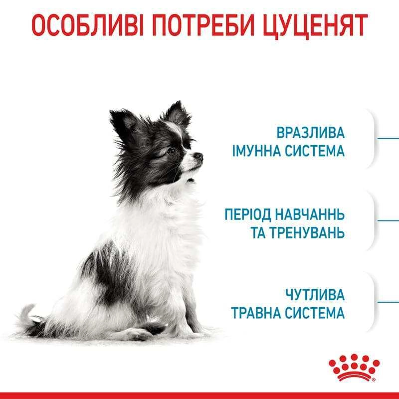 Royal Canin X-SMALL Puppy 2-10 Months With Poultry сухий корм для цуценят мініатюрних порід 0.5 кг - з домашньою птицею(3182550793568)  - фото 9