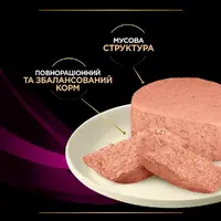 Purina Pro Plan Veterinary Diets UR Urinary ВОЛОГИЙ КОРМ Холістік коти (при захворюваннях сечовивідних шляхів) 195 г  - фото 3