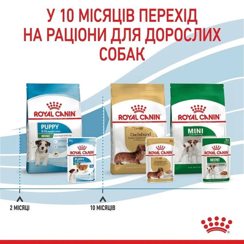 Royal Canin Mini Puppy влажный корм для щенков 85 г (9003579008218)  - фото 2