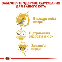 Royal Canin Sphynx Adult сухой корм для кошек 2 кг (3182550758840)  - фото 2