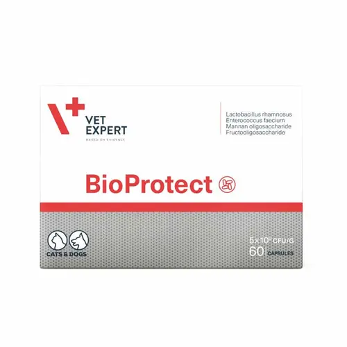 Vet Expert BioProtect харчова добавка для котів та собак 1 капсула - від порушень шлунково-кишкової мікрофлори (5907752658440)