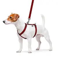 WAUDOG Nylon H-подібна шлея для собак M - з QR-паспортом, з малюнком Шотландка червона, нейлонова (4823089334561)  - фото 2