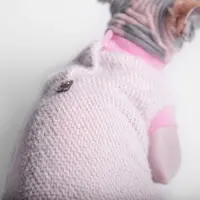 Style Pets Ялинка тепла кофта для котів XL- - рожева (3000000023402)  - фото 2