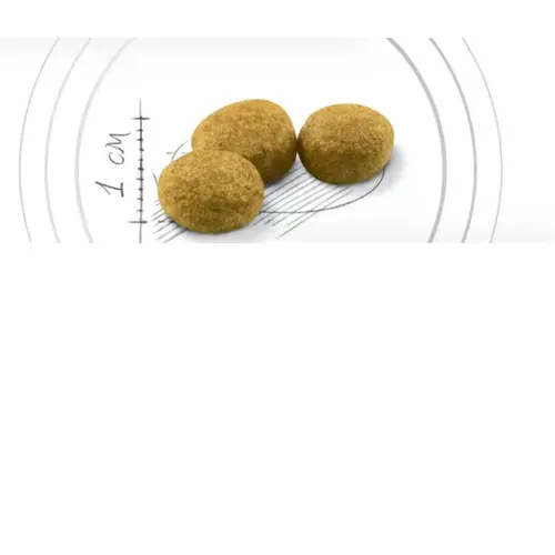 Royal Canin Veterinary Hypoallergenic СУХИЙ КОРМ-ДІЄТА Холістік собаки (з м'ясом) 2 кг
