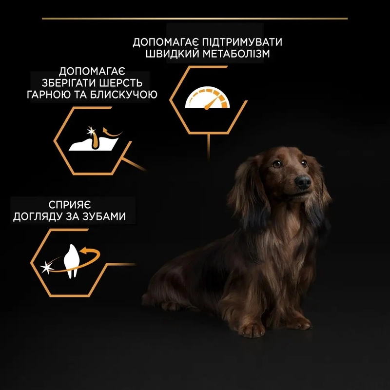Purina Pro Plan Small & MINI Puppy ADULT Everyday Nutrition ChickenI СУХИЙ КОРМ Супер-преміум собаки малих порід (з куркою) 3 кг  - фото 4