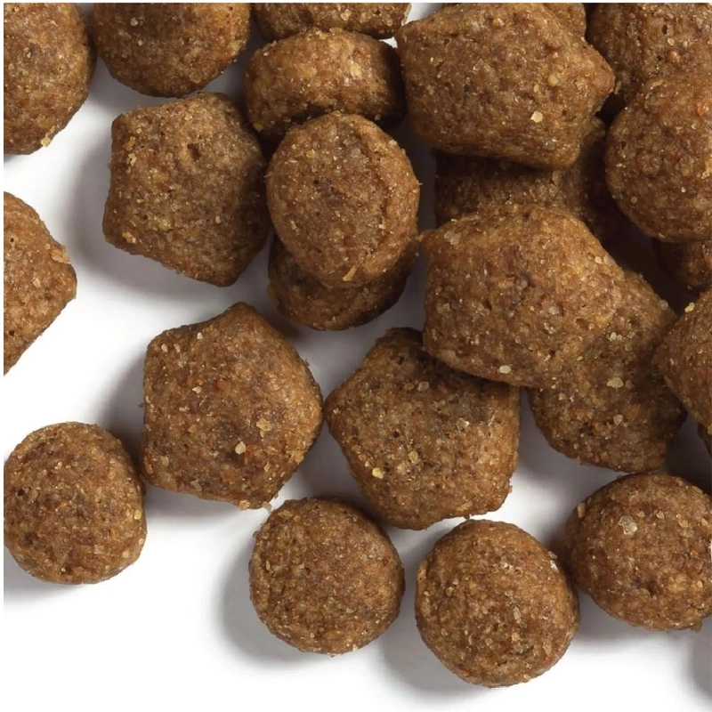 Dog Chow Sensetive ADULT 1+ сухий корм для собак з чутливим травленням 2.5 кг - з лососем (7613034488268)  - фото 1