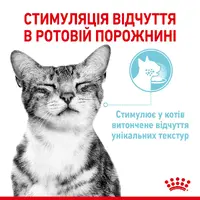 Royal Canin Sensory Feel in Gravy ВОЛОГИЙ КОРМ Супер-преміум коти (cтимулює відчуття корму) 85 г  - фото 1