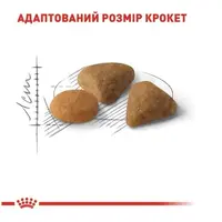 Royal Canin Exigent Protein СУХИЙ КОРМ Супер-преміум коти (вибагливі) 2 кг  - фото 1