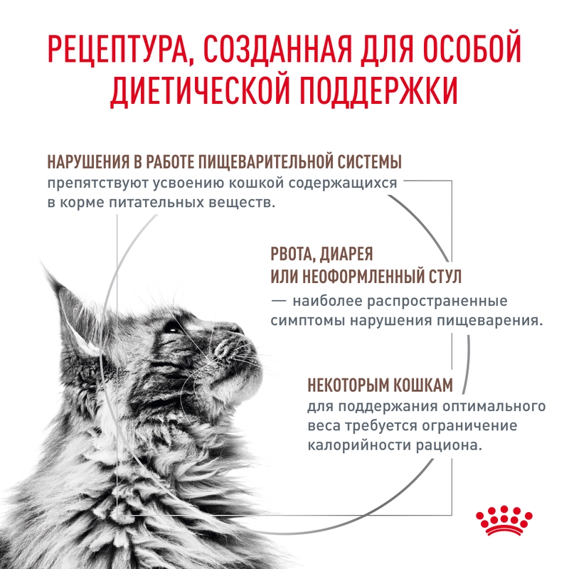Royal Canin Gastrointestinal Moderate Calorie сухий корм для котів 400 г (3182550771283)  - фото 4