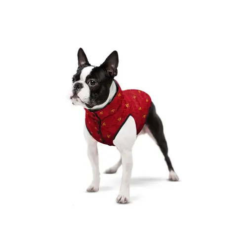 WAUDOG Clothes куртка для собак S 30 - з малюнком Супермен, червоний (4823089332185)