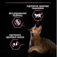 Purina Pro Plan Adult Delicate Digestion сухий корм для котів з чутливим травленням 400 г - з індичкою (7613033568671)  - фото 2
