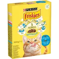 Friskies СУХИЙ КОРМ Економ коти (з лососем та овочами) 300 г 