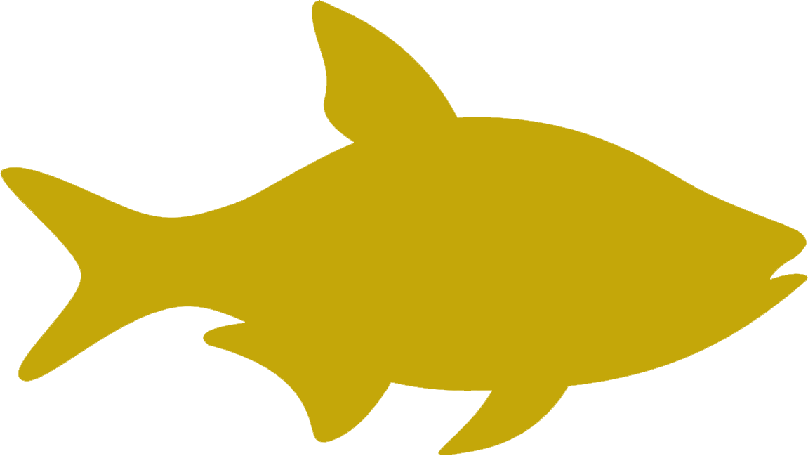 Рибам