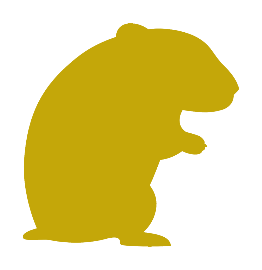 Гризунам